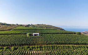 Castellaro Wine Resort